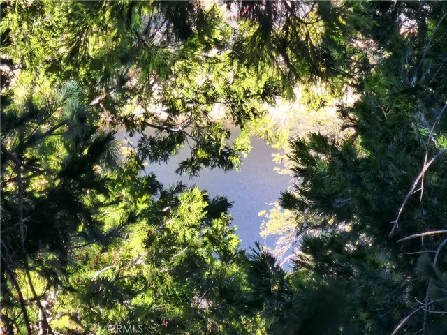 $79,900 | 24200 Altdorf Drive, Crestline, CA 92325