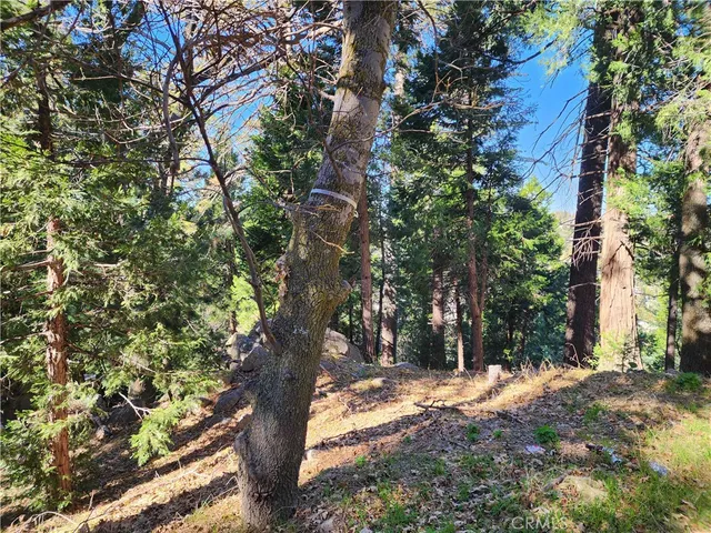 $79,900 | 24200 Altdorf Drive, Crestline, CA 92325