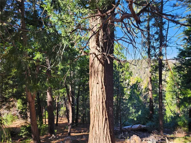 $79,900 | 24200 Altdorf Drive, Crestline, CA 92325