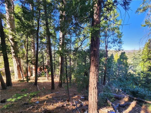 $79,900 | 24200 Altdorf Drive, Crestline, CA 92325