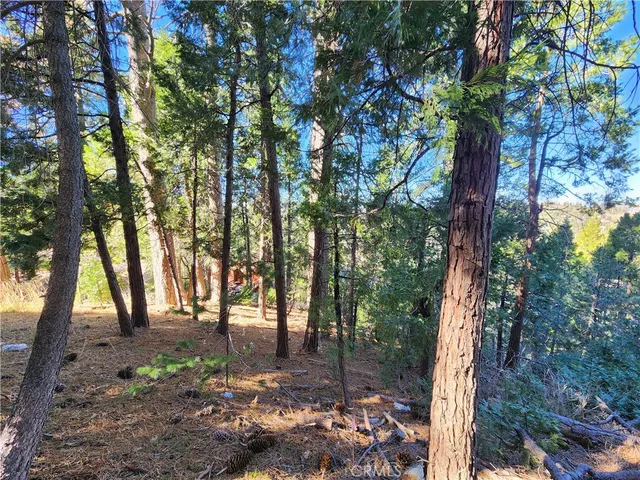 $79,900 | 24200 Altdorf Drive, Crestline, CA 92325