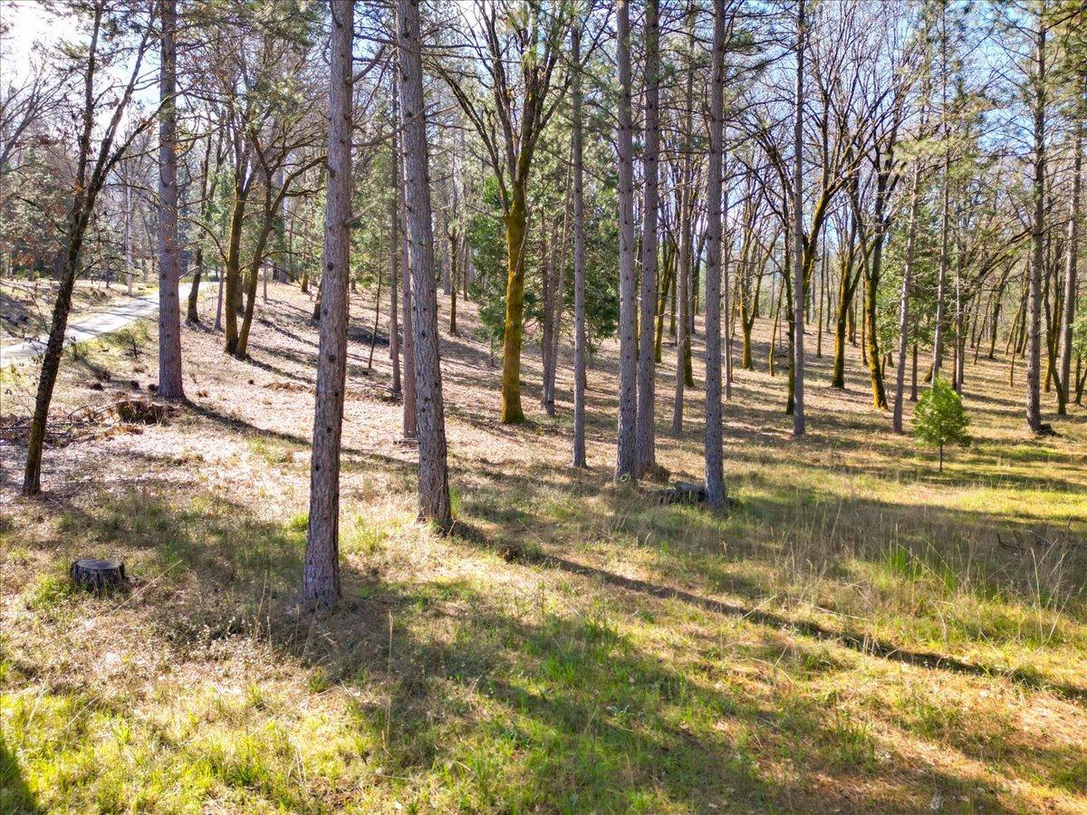 12787 Mystic Mine Road Nevada City, CA 95959 - Photo 11 of 80 a view of a yard with swimming pool