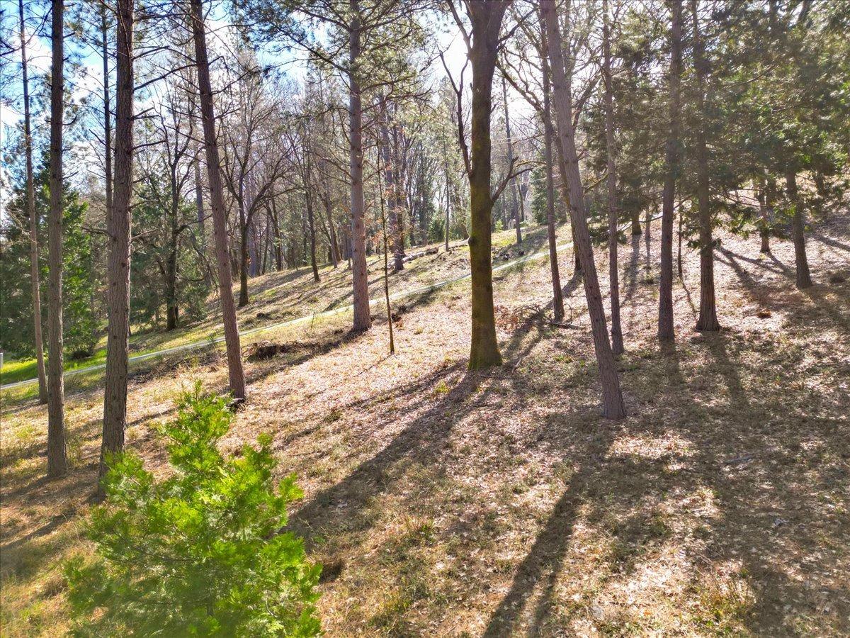 12787 Mystic Mine Road Nevada City, CA 95959 - Photo 13 of 80