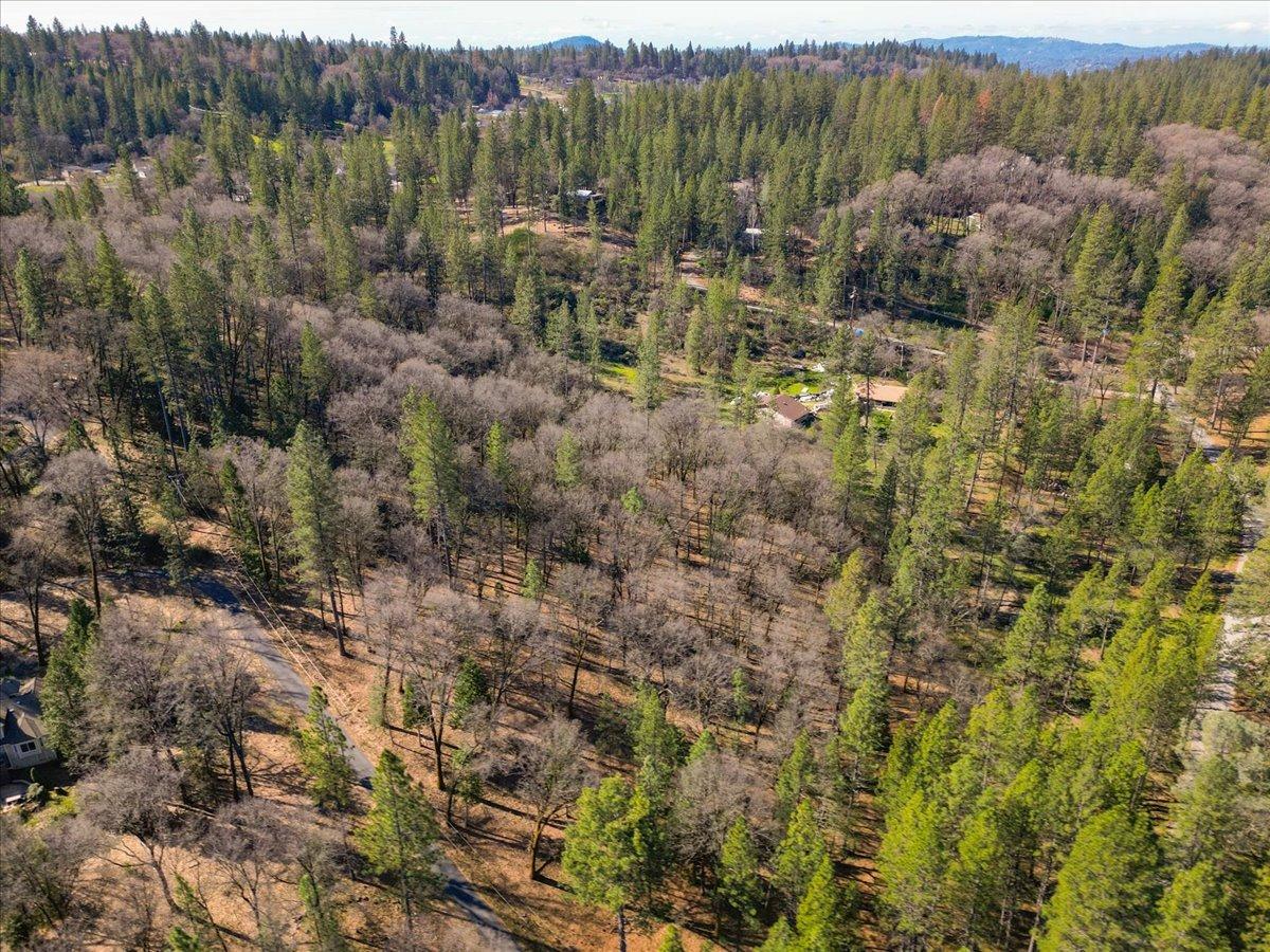 12787 Mystic Mine Road Nevada City, CA 95959 - Photo 14 of 80 a view of a bunch of trees and bushes