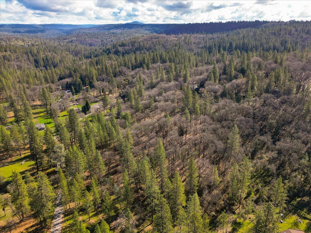 12787 Mystic Mine Road Nevada City, CA 95959 - Photo 15 of 80 a view of a city with lush green forest