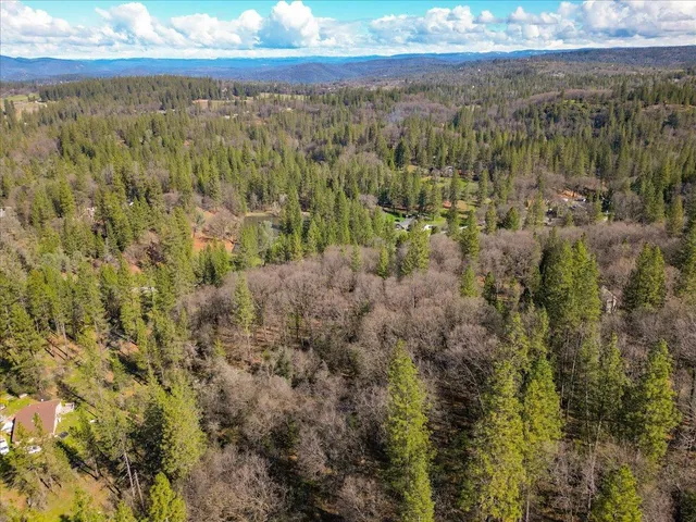 a view of yard with trees