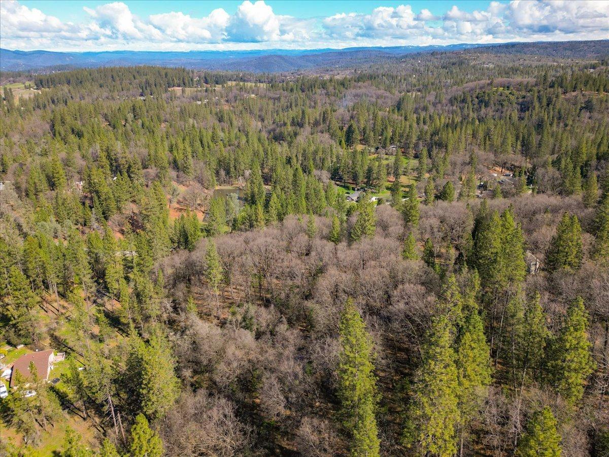 12787 Mystic Mine Road Nevada City, CA 95959 - Photo 18 of 80