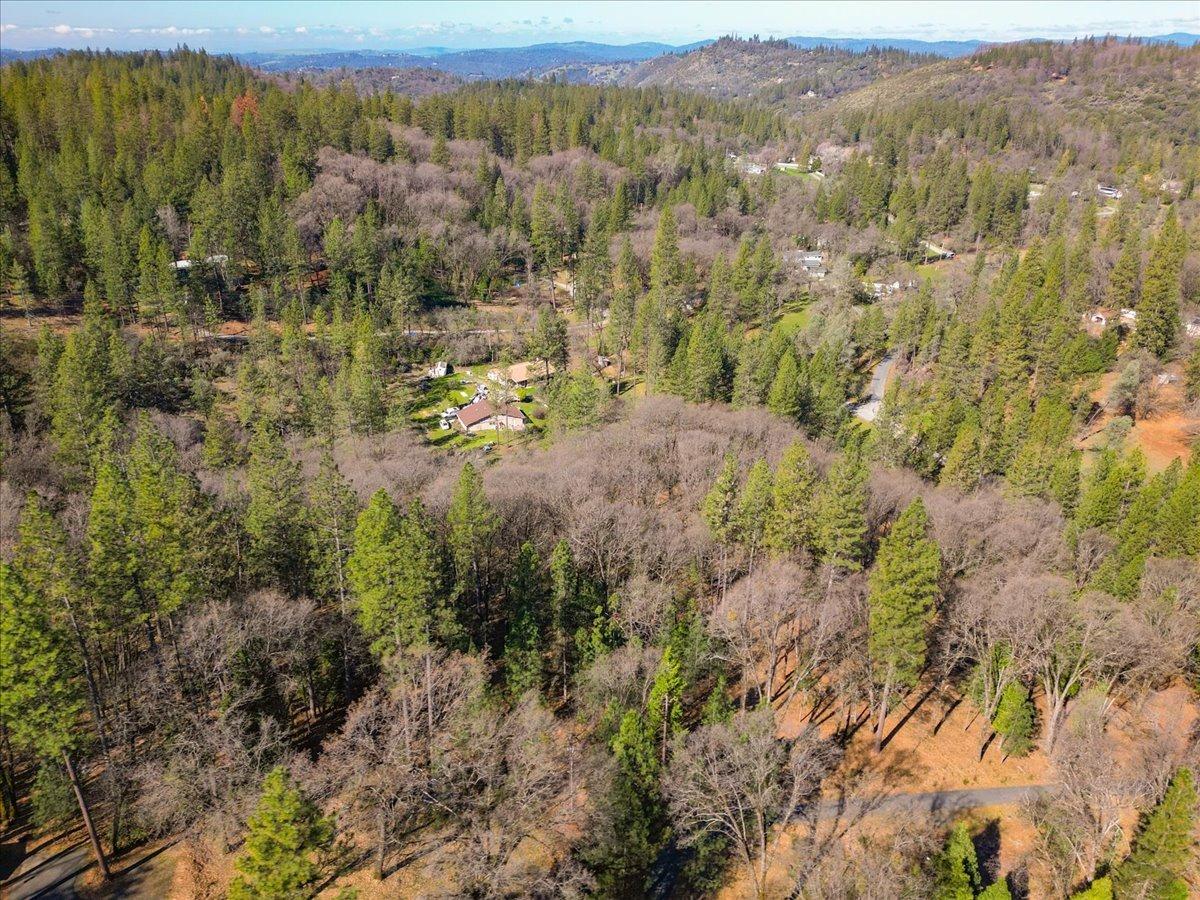12787 Mystic Mine Road Nevada City, CA 95959 - Photo 22 of 80 a view of a forest with trees in the background