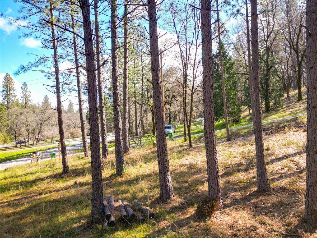 12787 Mystic Mine Road Nevada City, CA 95959 - Photo 24 of 80