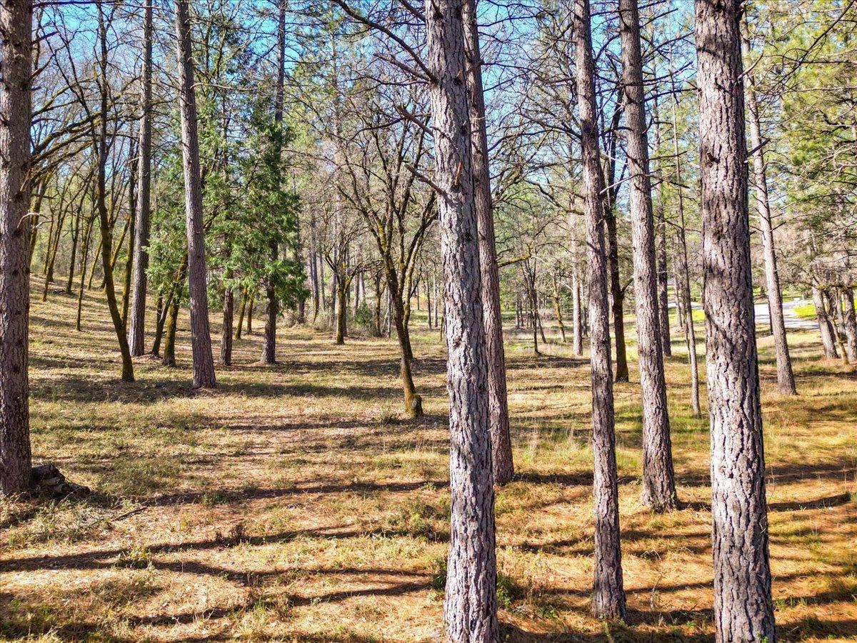 12787 Mystic Mine Road Nevada City, CA 95959 - Photo 25 of 80