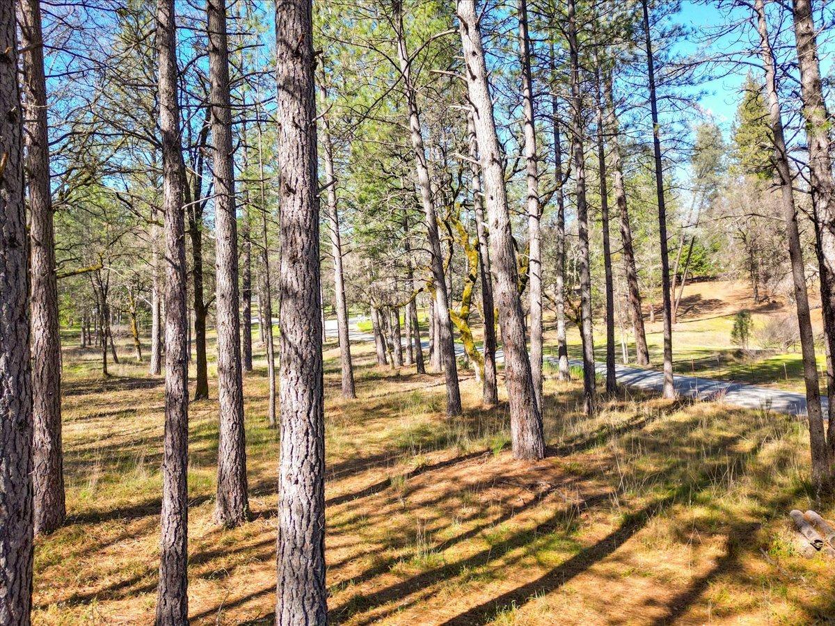 12787 Mystic Mine Road Nevada City, CA 95959 - Photo 26 of 80 a view of outdoor space with patio