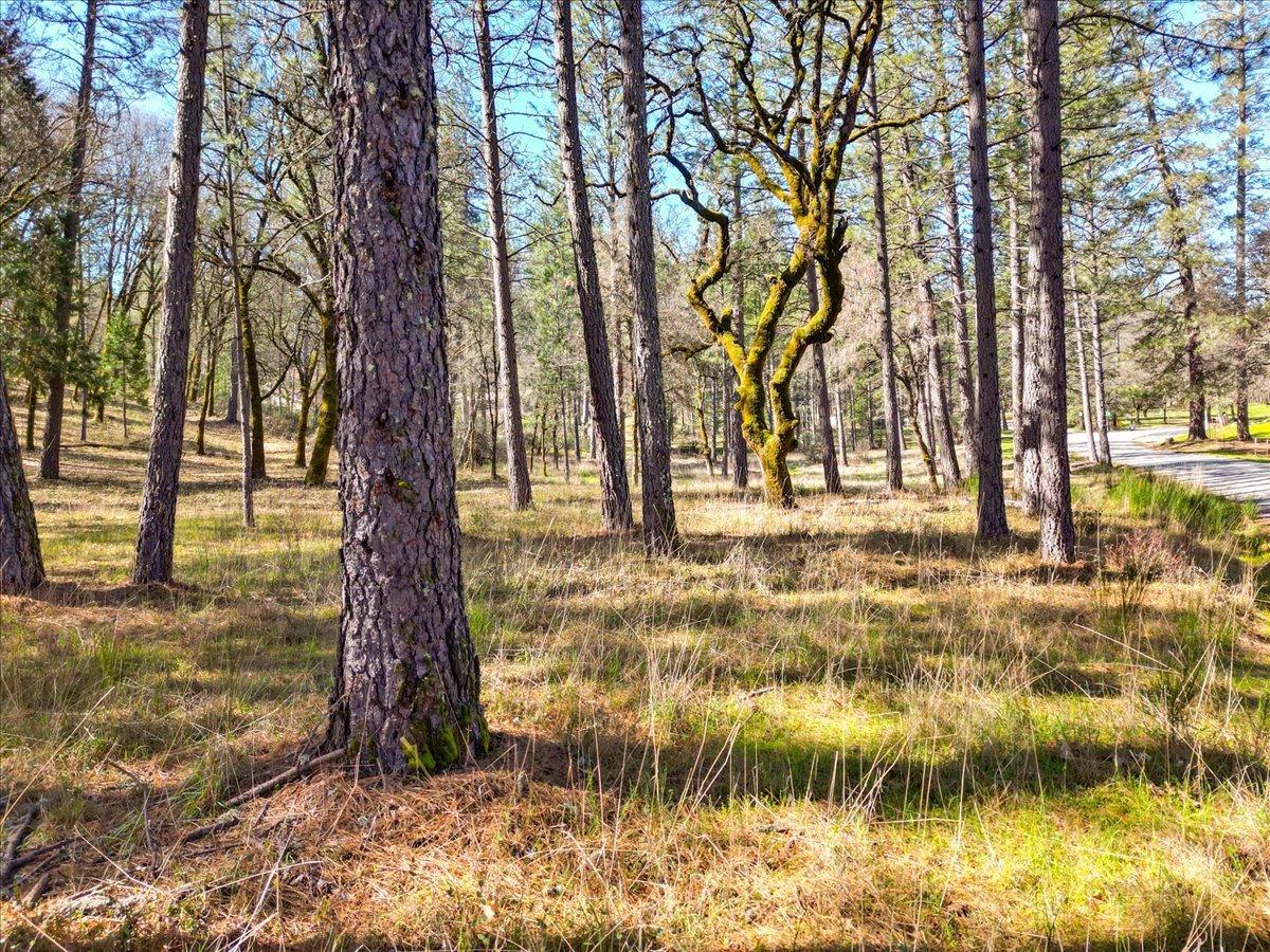 12787 Mystic Mine Road Nevada City, CA 95959 - Photo 27 of 80