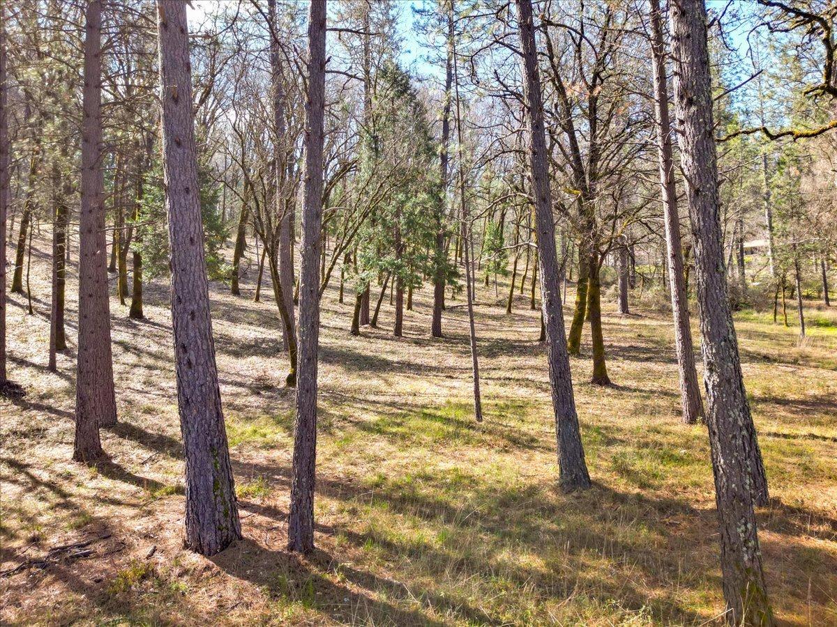 12787 Mystic Mine Road Nevada City, CA 95959 - Photo 29 of 80