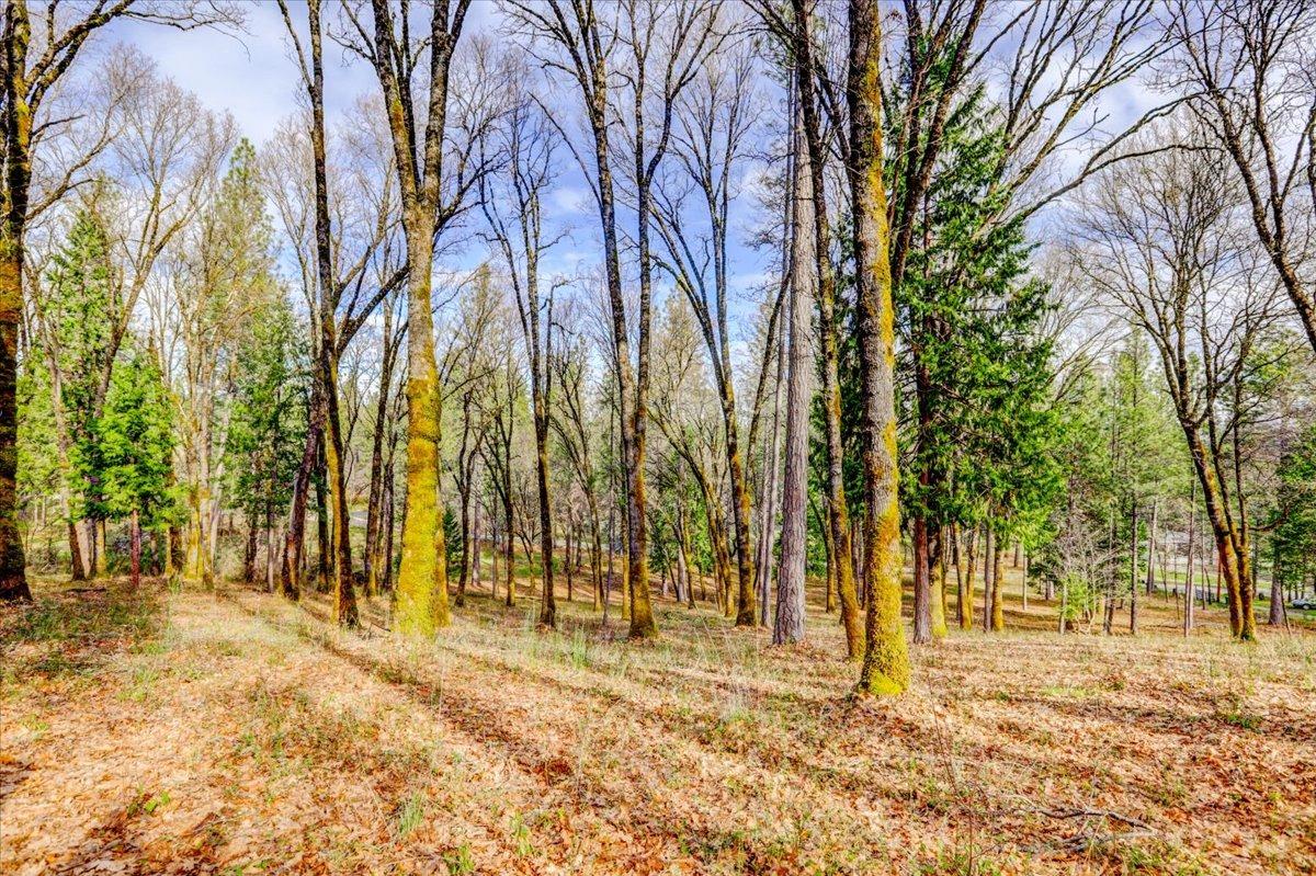 12787 Mystic Mine Road Nevada City, CA 95959 - Photo 3 of 80