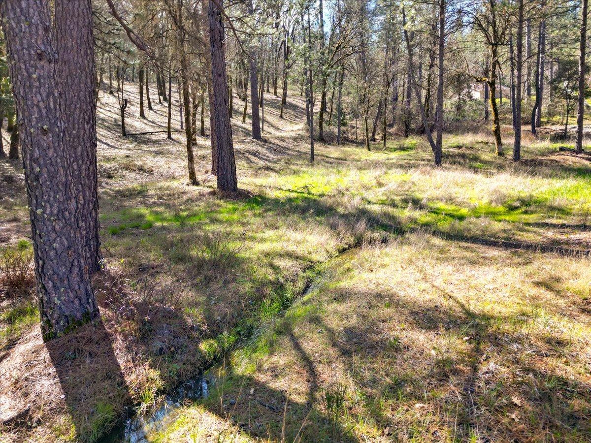 12787 Mystic Mine Road Nevada City, CA 95959 - Photo 33 of 80 a view of yard with trees