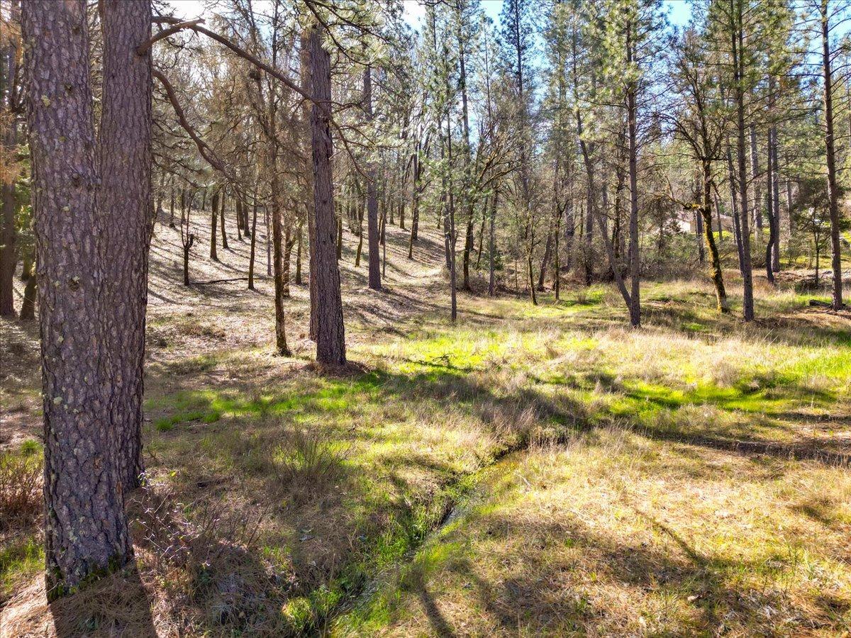 12787 Mystic Mine Road Nevada City, CA 95959 - Photo 34 of 80 a view of yard with trees