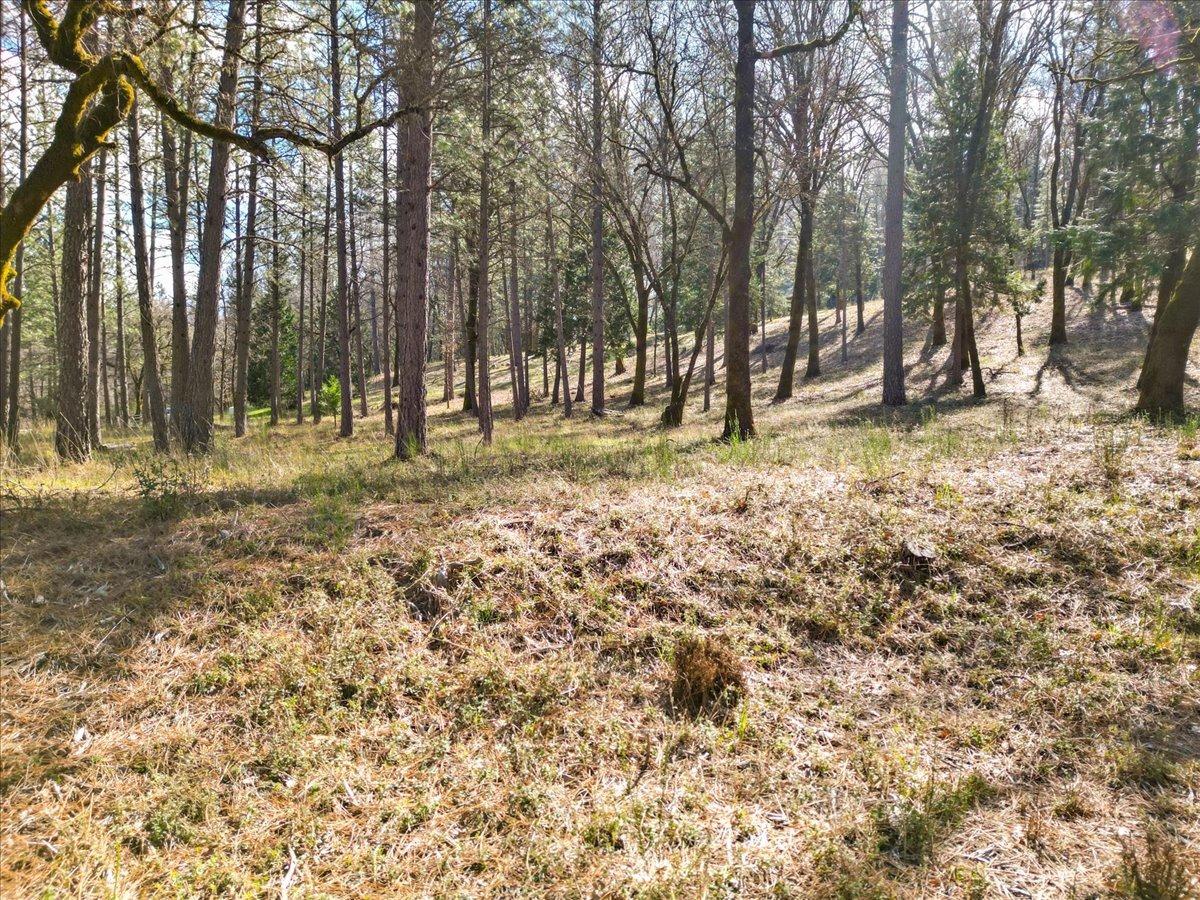 12787 Mystic Mine Road Nevada City, CA 95959 - Photo 38 of 80 a fire hydrant in middle of the forest