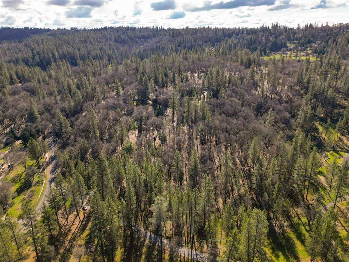 12787 Mystic Mine Road Nevada City, CA 95959 - Photo 39 of 80