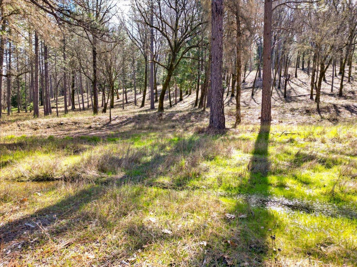 12787 Mystic Mine Road Nevada City, CA 95959 - Photo 40 of 80 a view of swimming pool with outdoor seating and trees