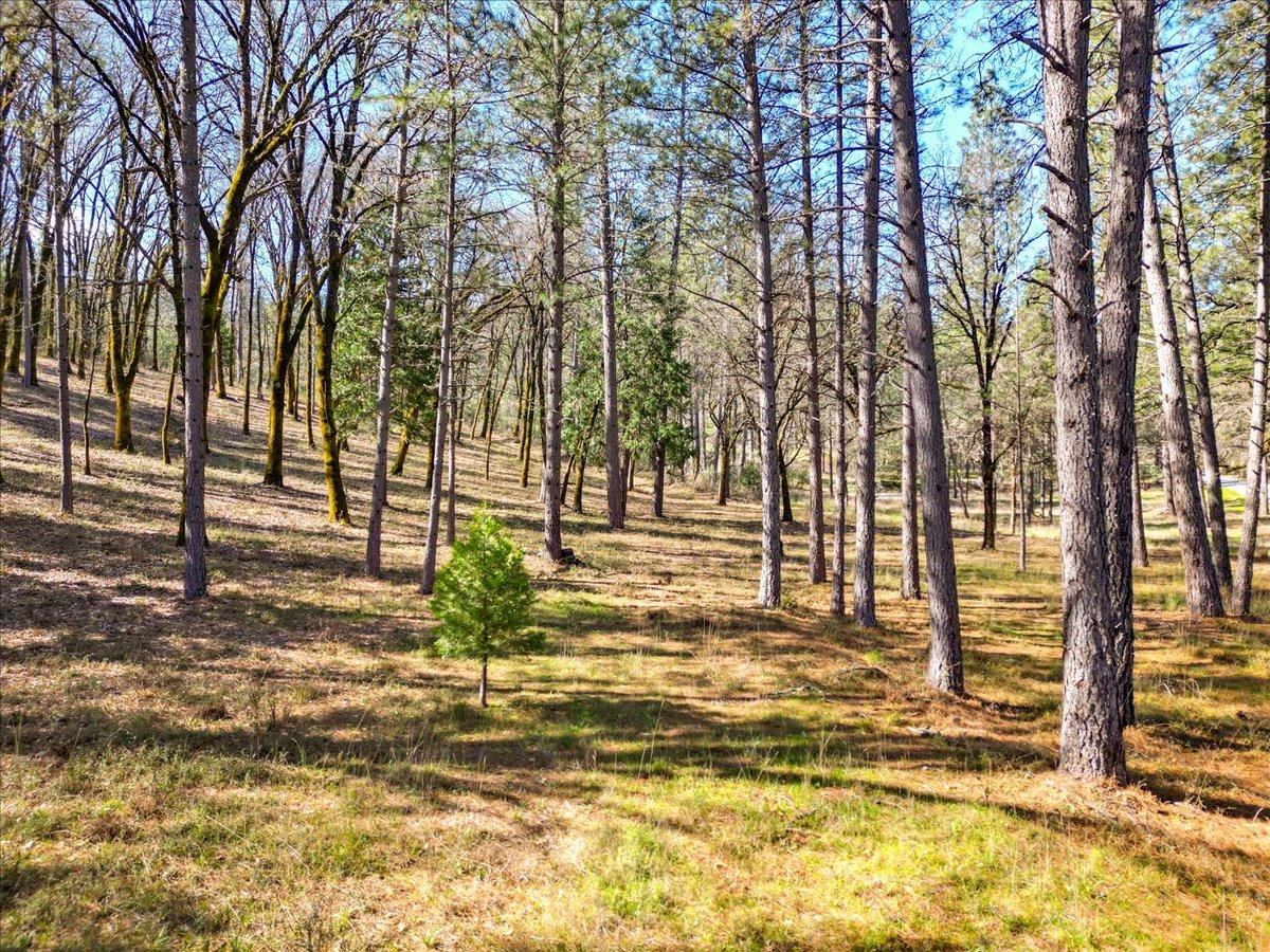12787 Mystic Mine Road Nevada City, CA 95959 - Photo 4 of 80