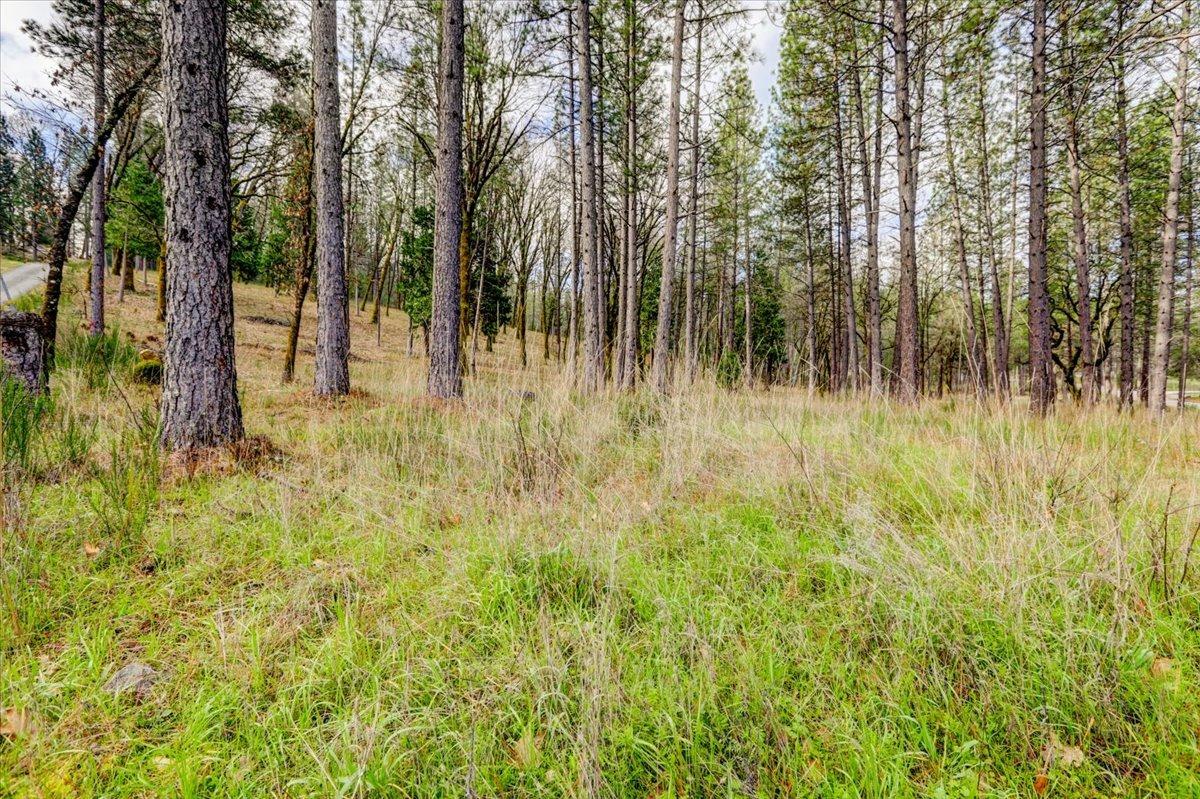 12787 Mystic Mine Road Nevada City, CA 95959 - Photo 42 of 80 a view of swimming pool from a lake view