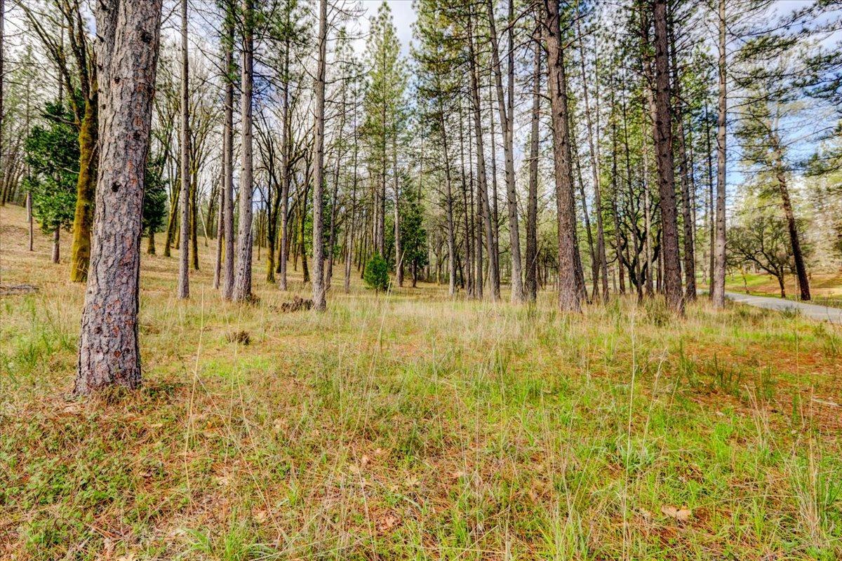 12787 Mystic Mine Road Nevada City, CA 95959 - Photo 44 of 80