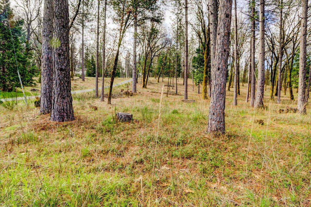 12787 Mystic Mine Road Nevada City, CA 95959 - Photo 45 of 80 a view of yard with trees