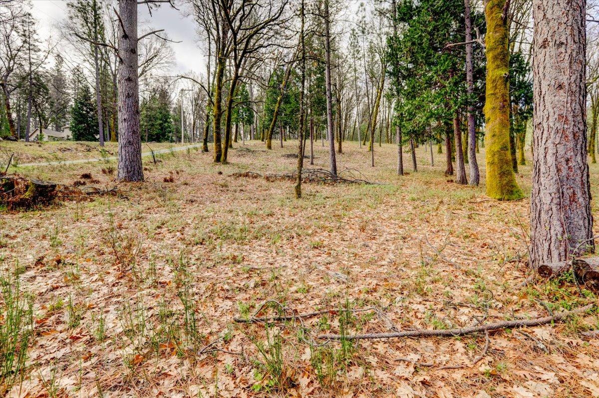 12787 Mystic Mine Road Nevada City, CA 95959 - Photo 47 of 80 a view of park with trees