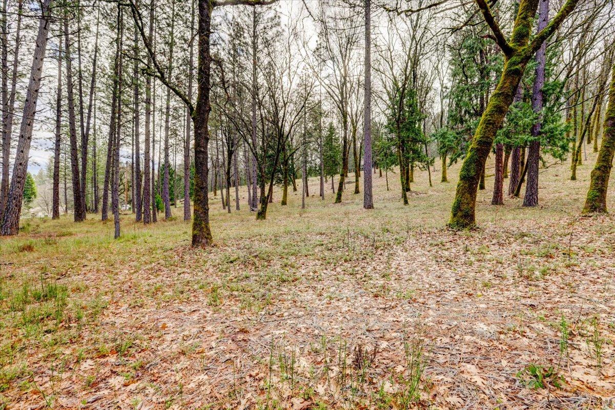 12787 Mystic Mine Road Nevada City, CA 95959 - Photo 49 of 80