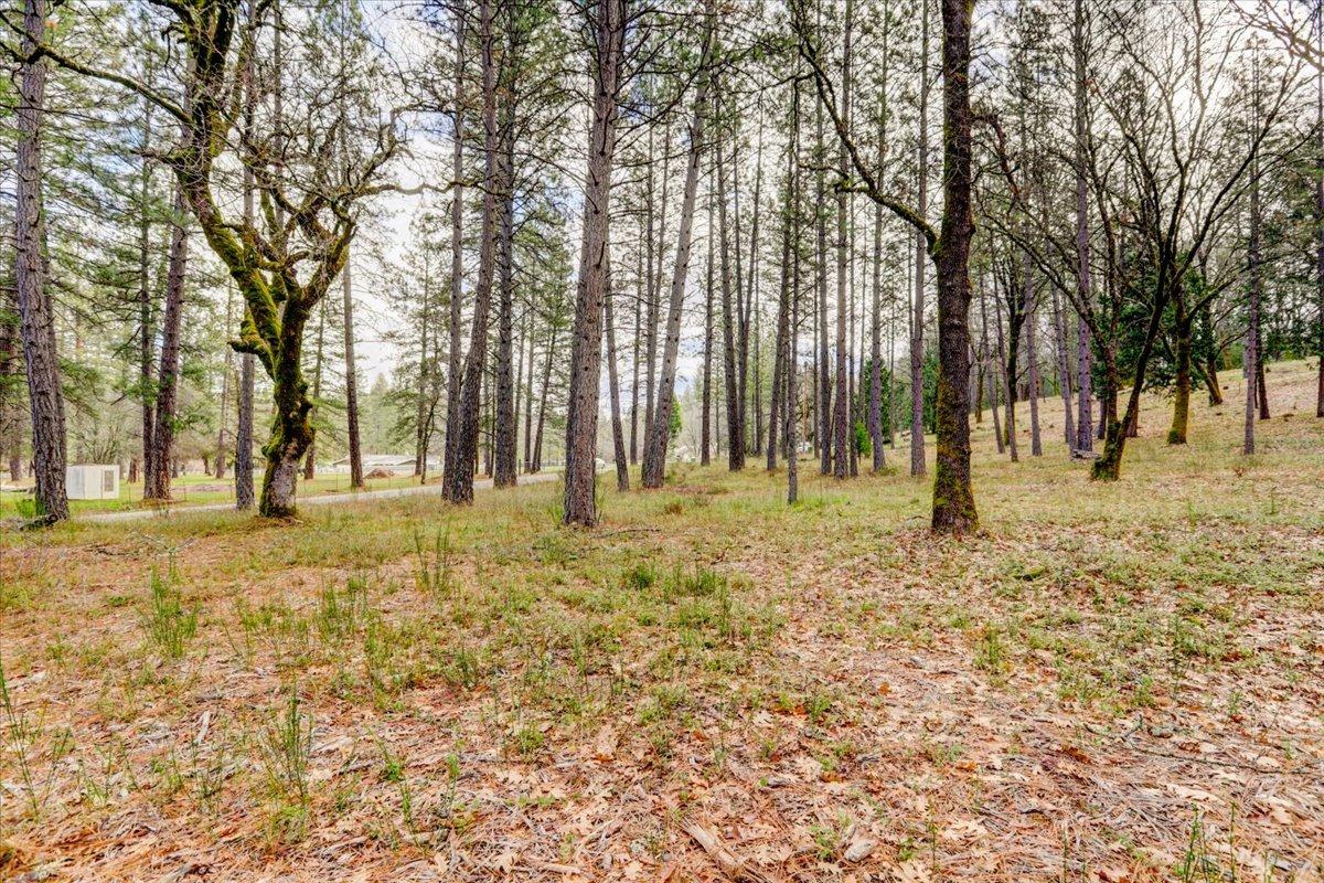 12787 Mystic Mine Road Nevada City, CA 95959 - Photo 50 of 80 a view of yard with trees