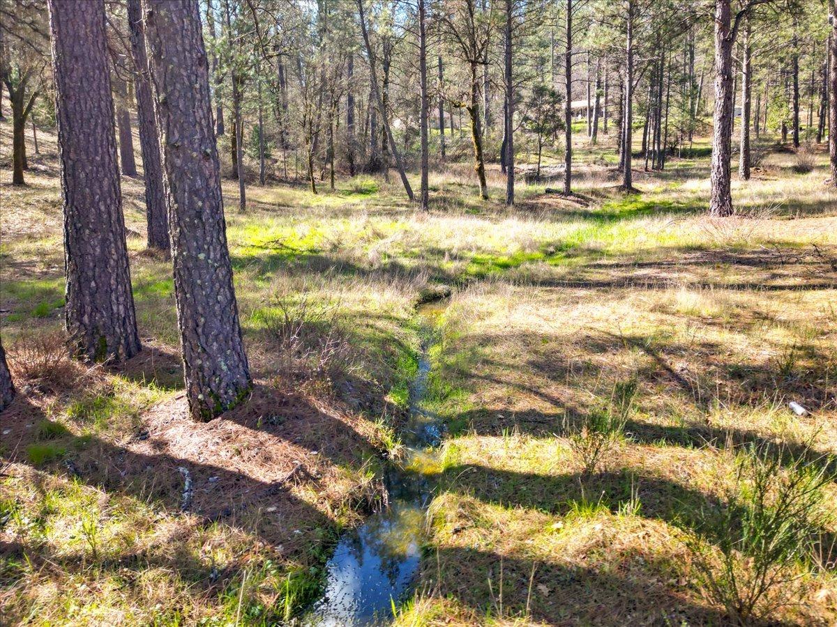 12787 Mystic Mine Road Nevada City, CA 95959 - Photo 5 of 80