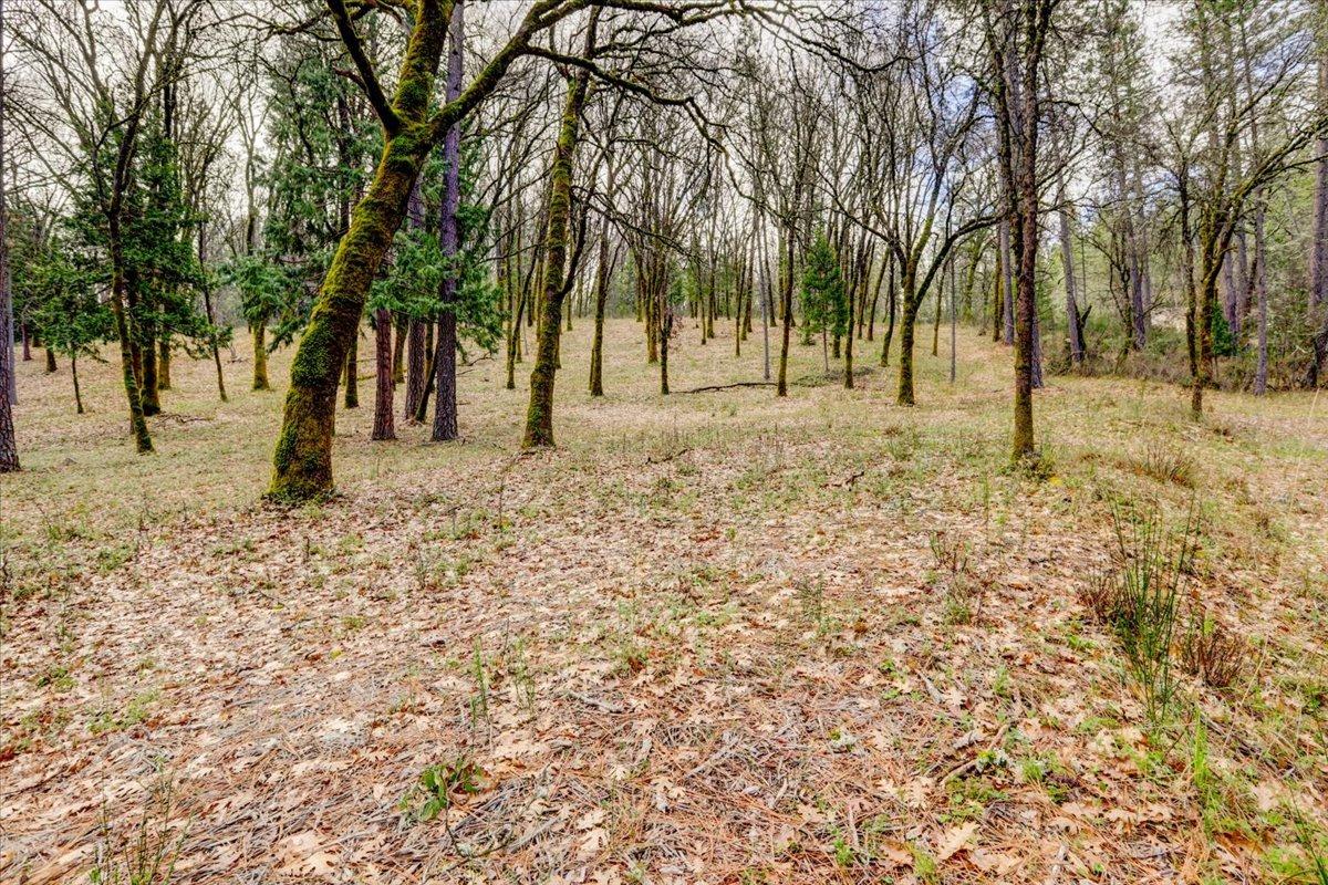 12787 Mystic Mine Road Nevada City, CA 95959 - Photo 51 of 80 a view of a yard with a tree