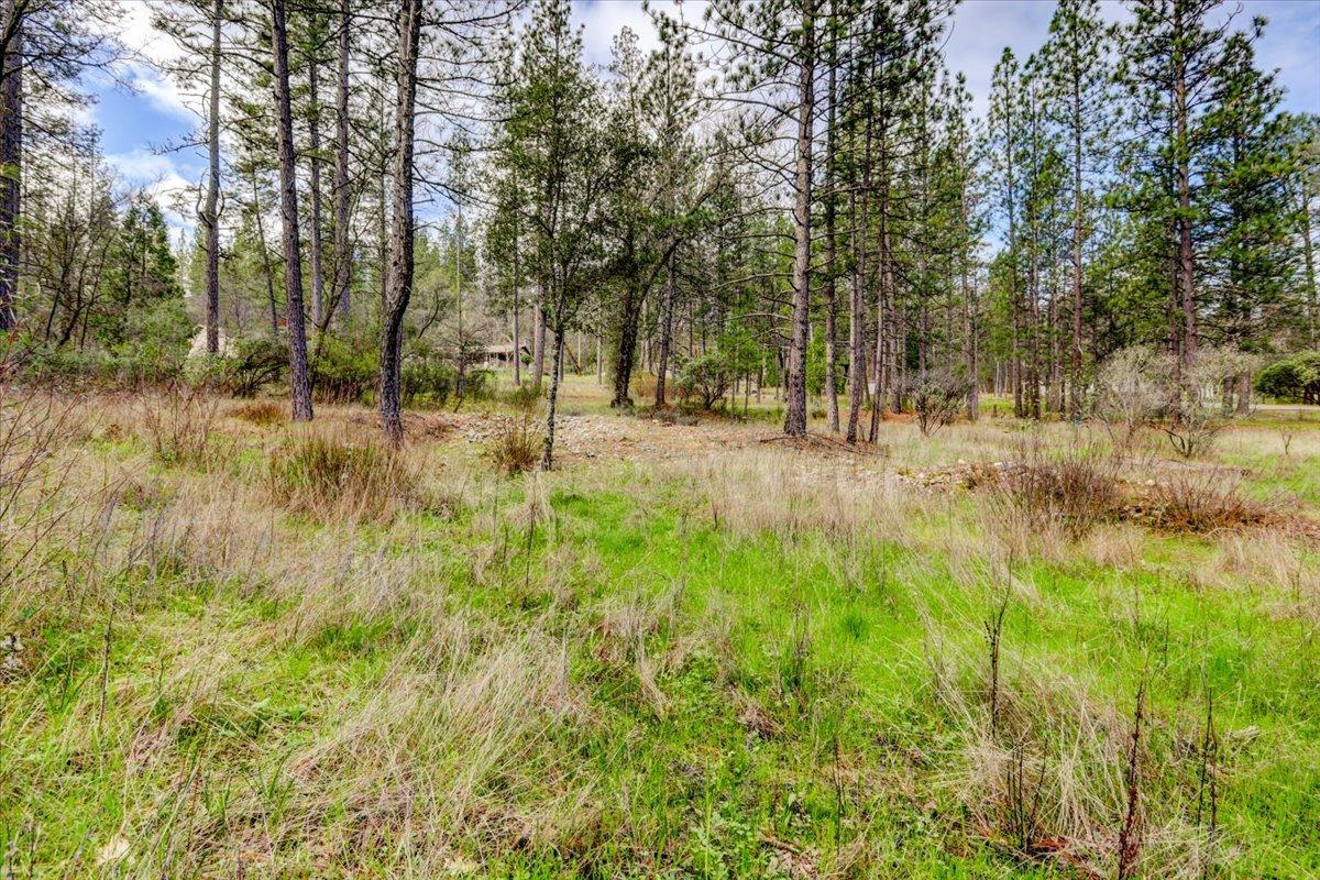 12787 Mystic Mine Road Nevada City, CA 95959 - Photo 56 of 80 a view of backyard with green space