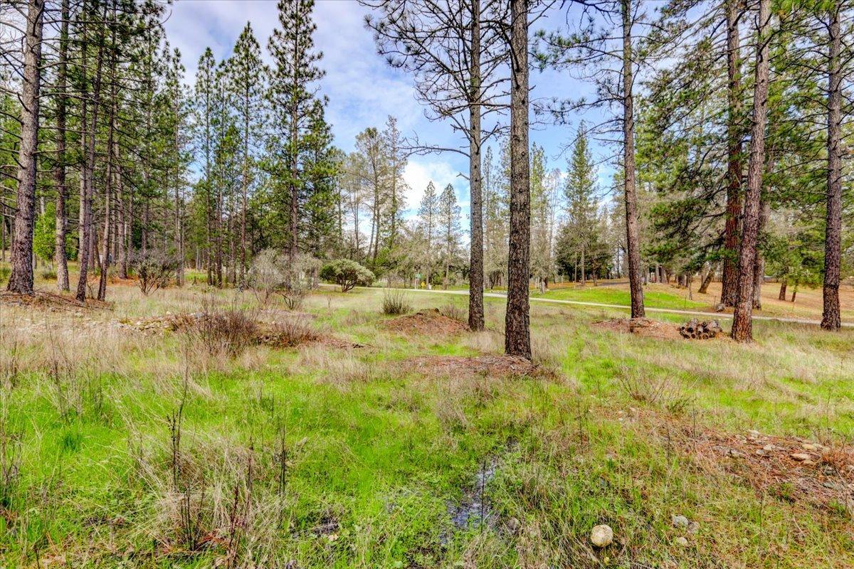 12787 Mystic Mine Road Nevada City, CA 95959 - Photo 57 of 80 a view of yard with tree