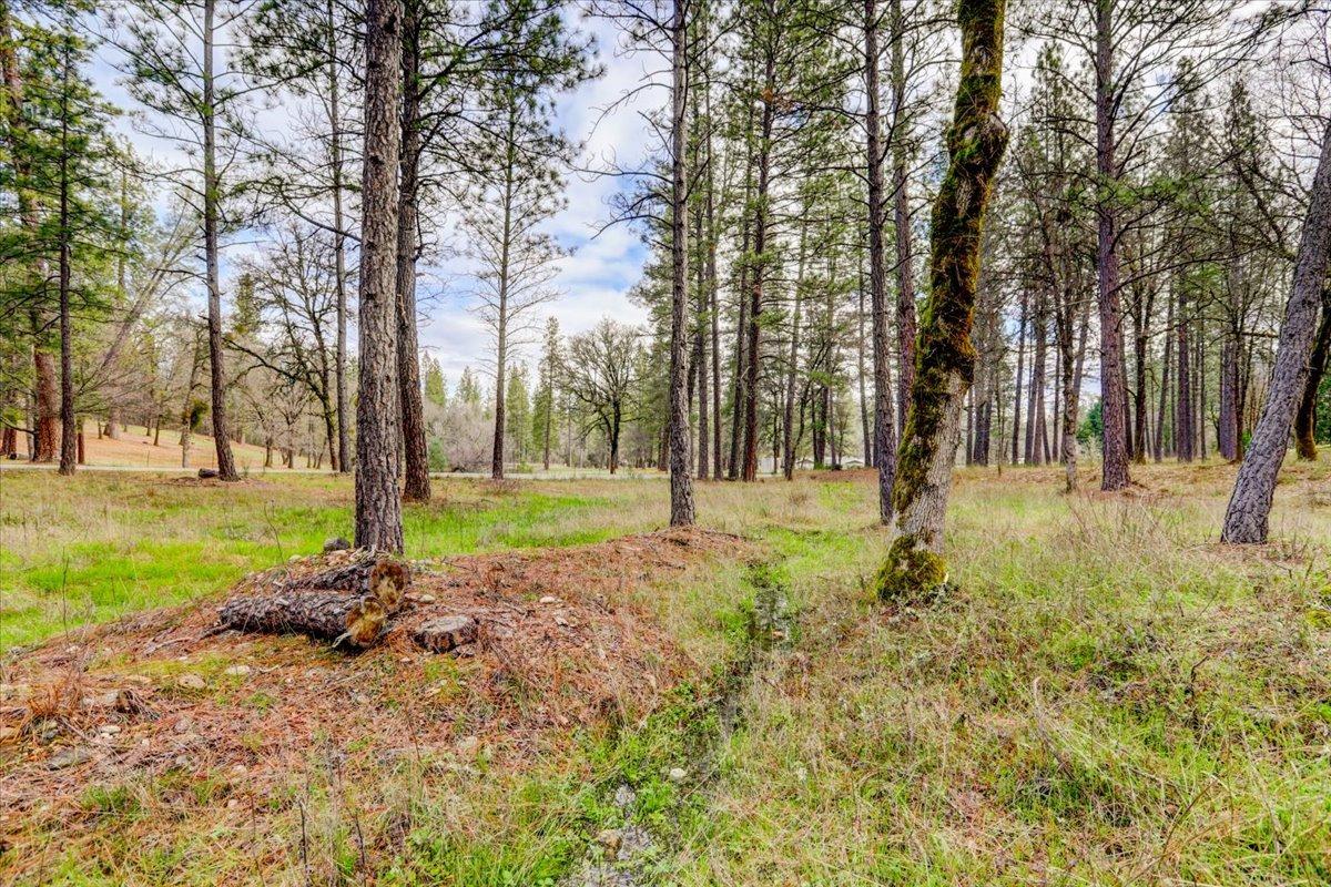 12787 Mystic Mine Road Nevada City, CA 95959 - Photo 58 of 80