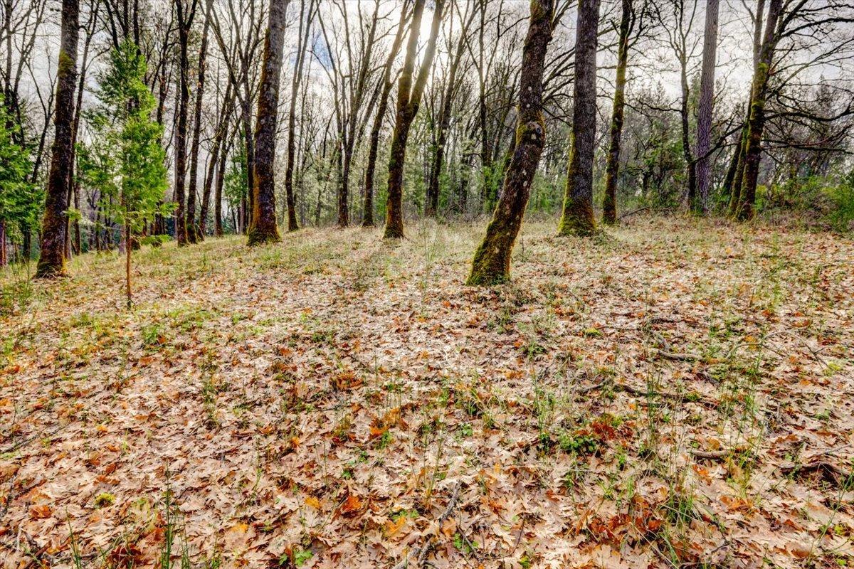12787 Mystic Mine Road Nevada City, CA 95959 - Photo 63 of 80 a view of a backyard of a house