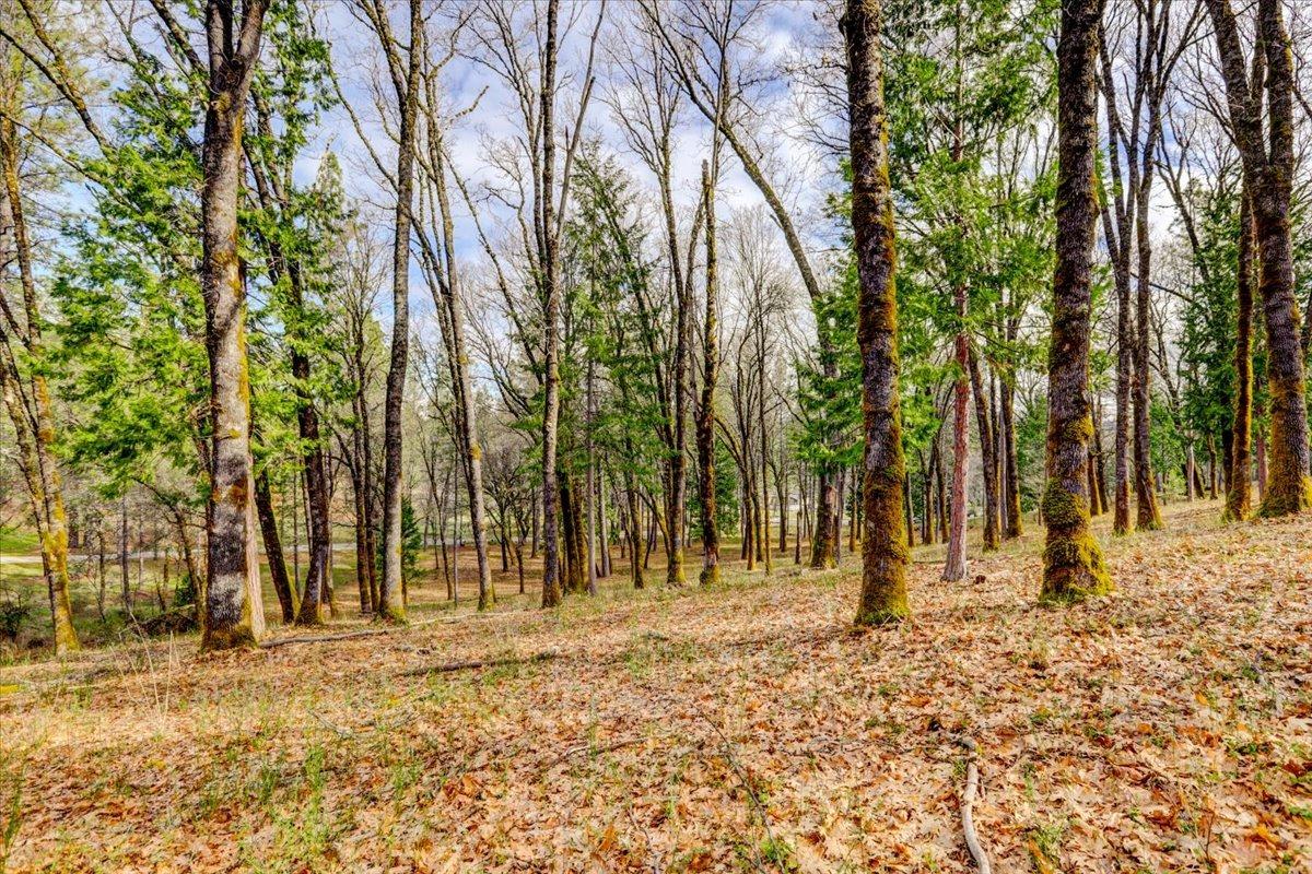 12787 Mystic Mine Road Nevada City, CA 95959 - Photo 64 of 80 a view of a backyard of the house