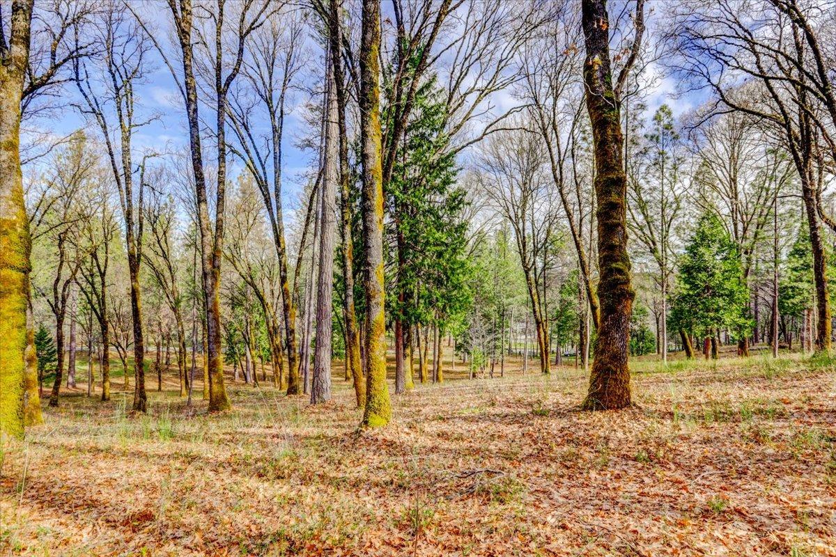 12787 Mystic Mine Road Nevada City, CA 95959 - Photo 65 of 80 a view of yard with trees
