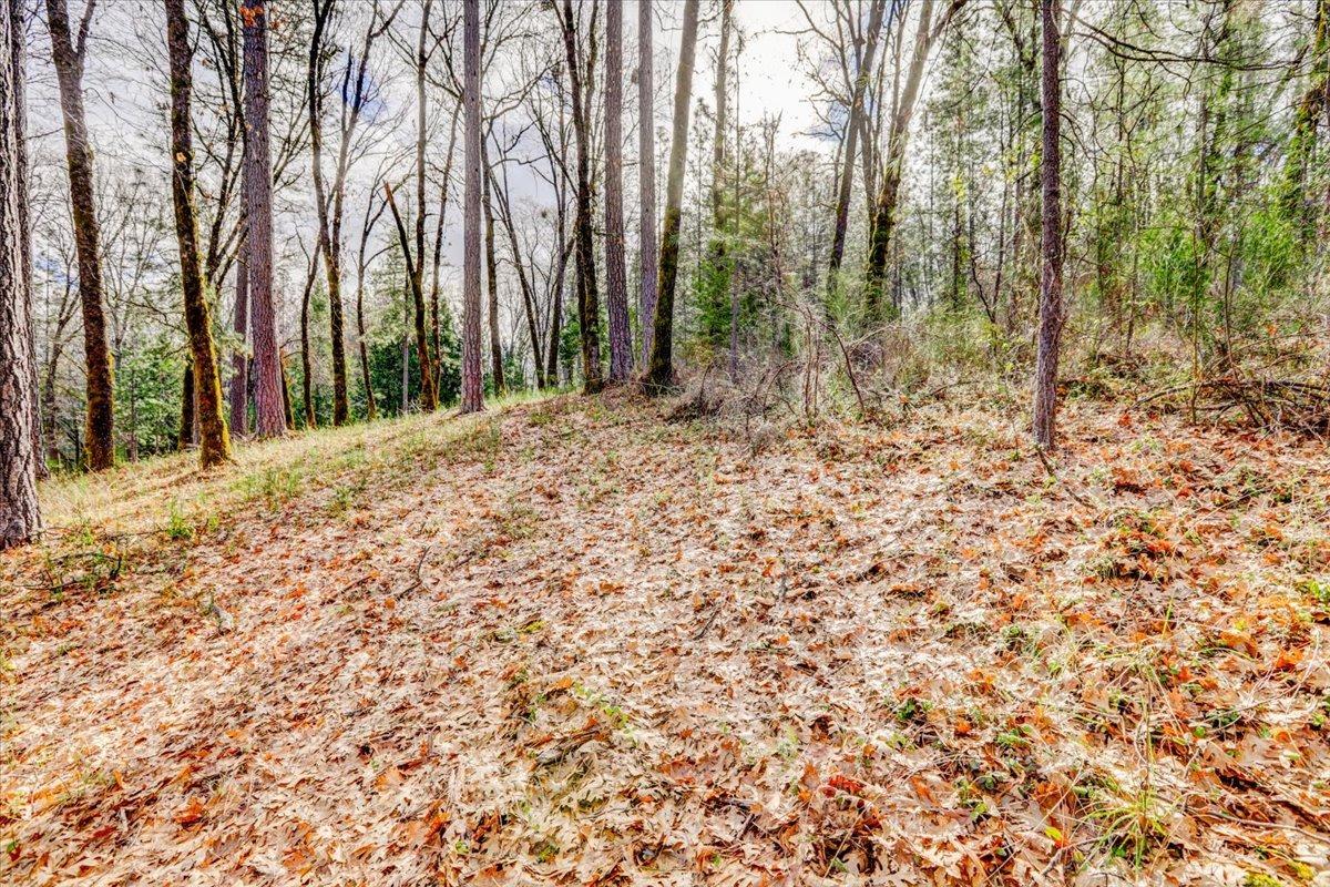 12787 Mystic Mine Road Nevada City, CA 95959 - Photo 66 of 80 a view of a backyard of the house
