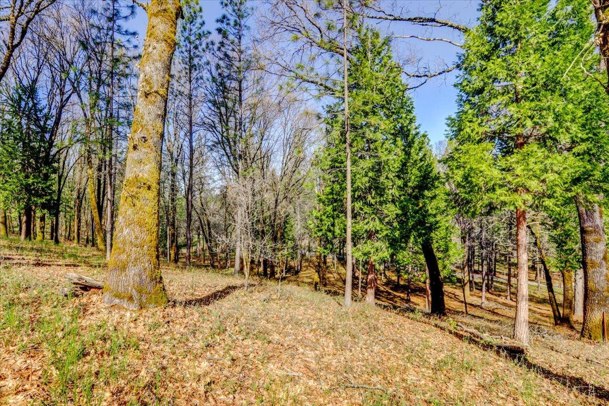 12787 Mystic Mine Road Nevada City, CA 95959 - Photo 68 of 80