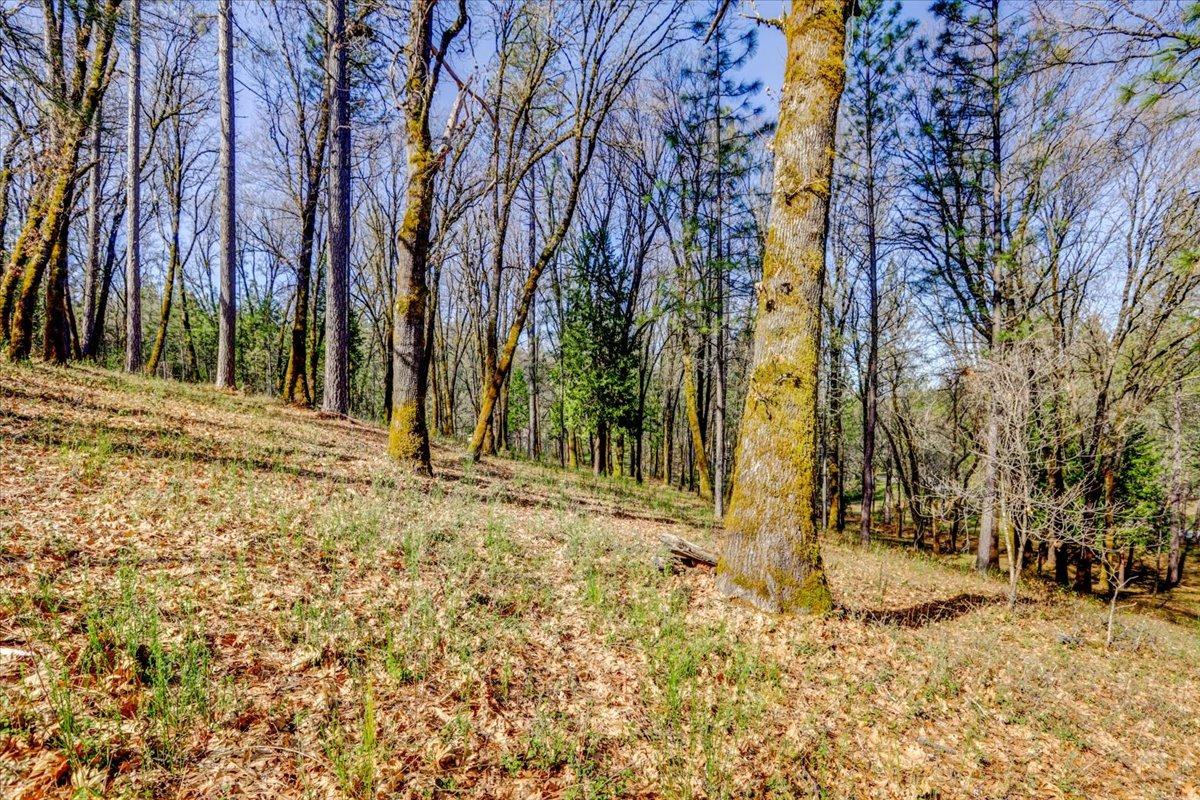 12787 Mystic Mine Road Nevada City, CA 95959 - Photo 69 of 80