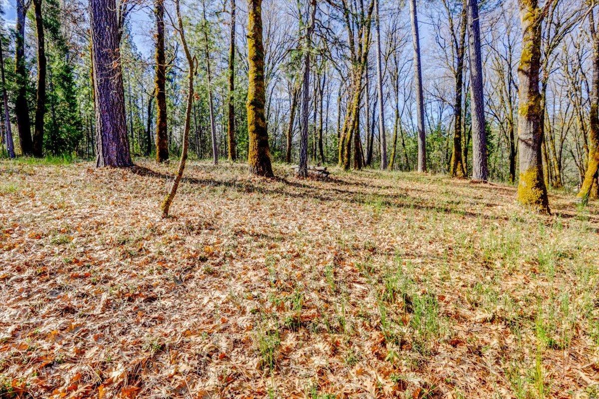 12787 Mystic Mine Road Nevada City, CA 95959 - Photo 70 of 80 a view of a backyard with large trees