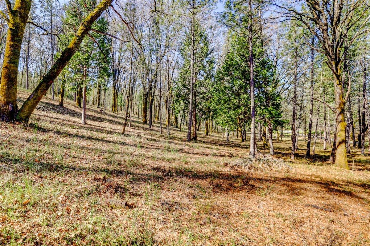 12787 Mystic Mine Road Nevada City, CA 95959 - Photo 71 of 80