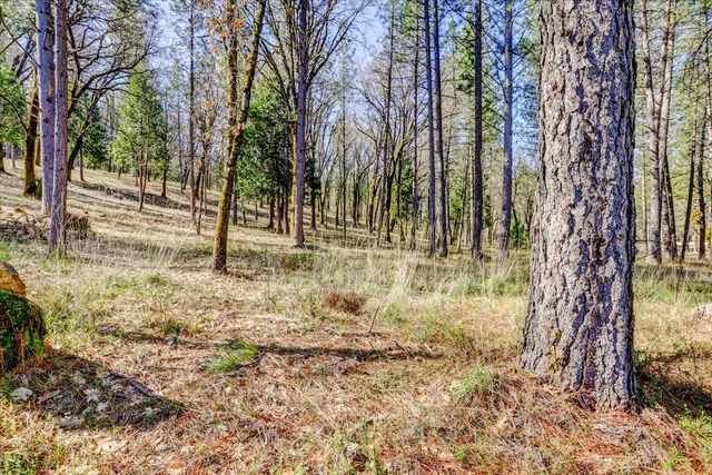 $129,000 | 12787 Mystic Mine Road, Nevada City, CA 95959