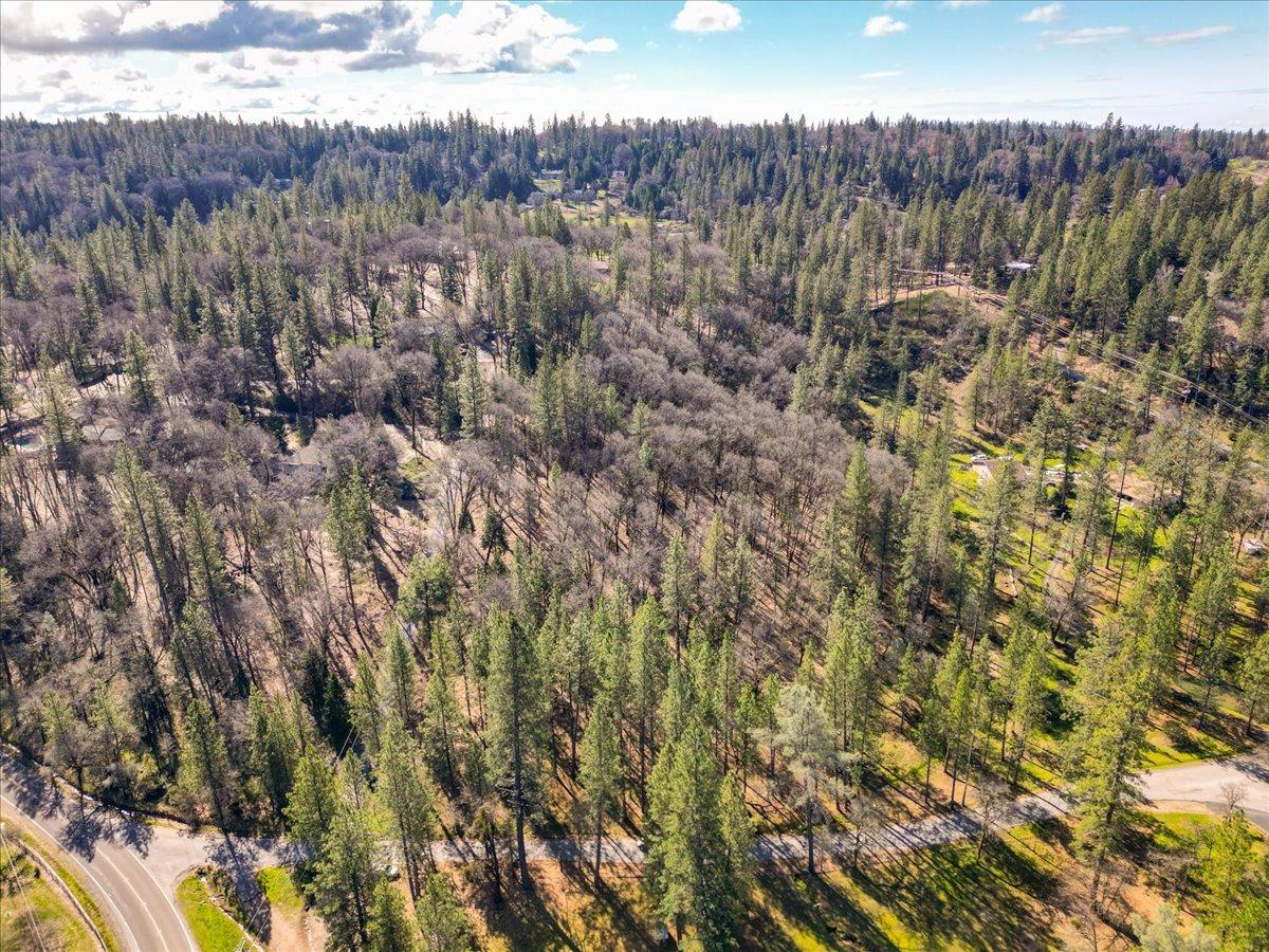 12787 Mystic Mine Road Nevada City, CA 95959 - Photo 78 of 80 a view of a bunch of trees and bushes