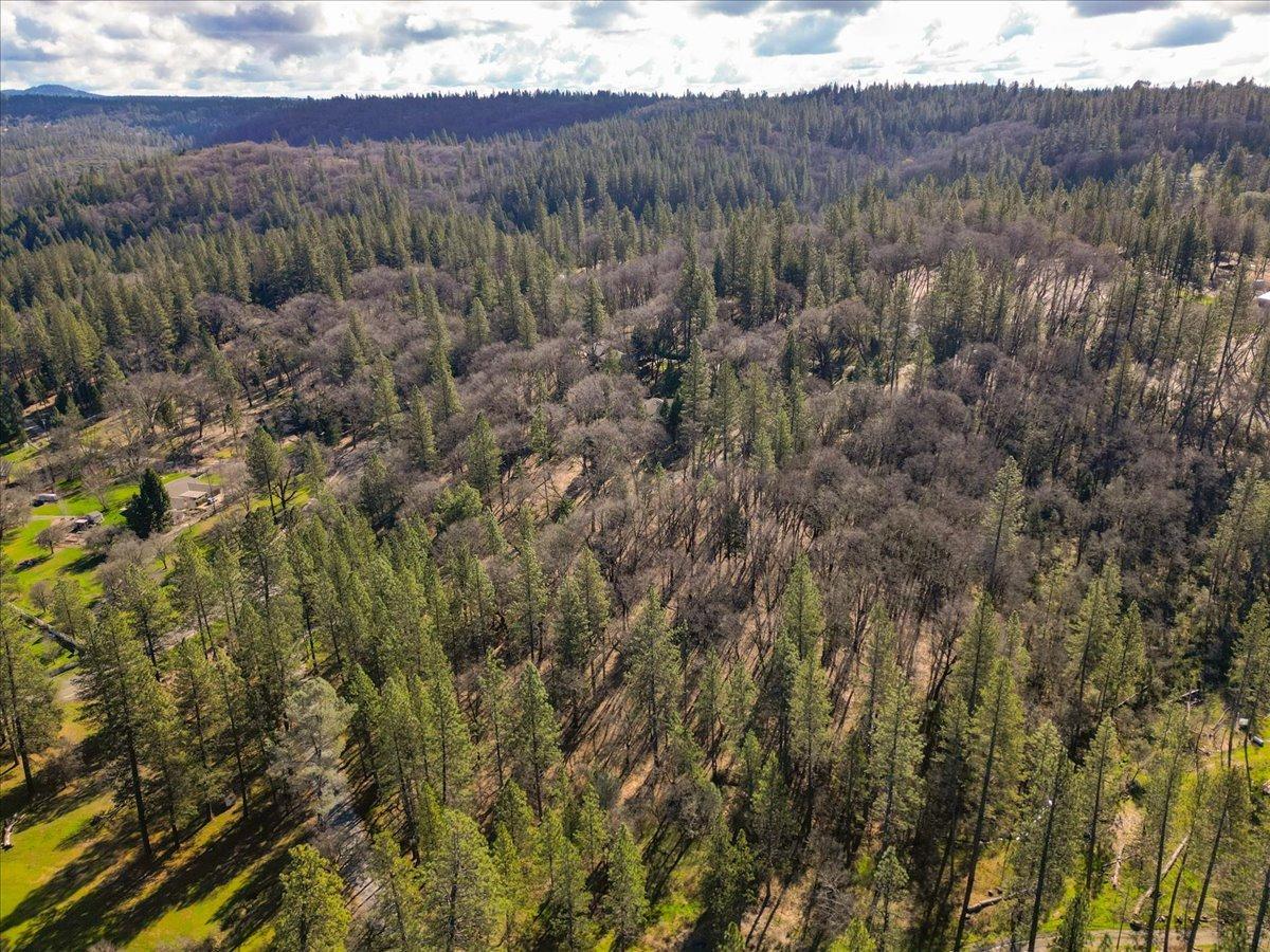 12787 Mystic Mine Road Nevada City, CA 95959 - Photo 79 of 80 a view of forest