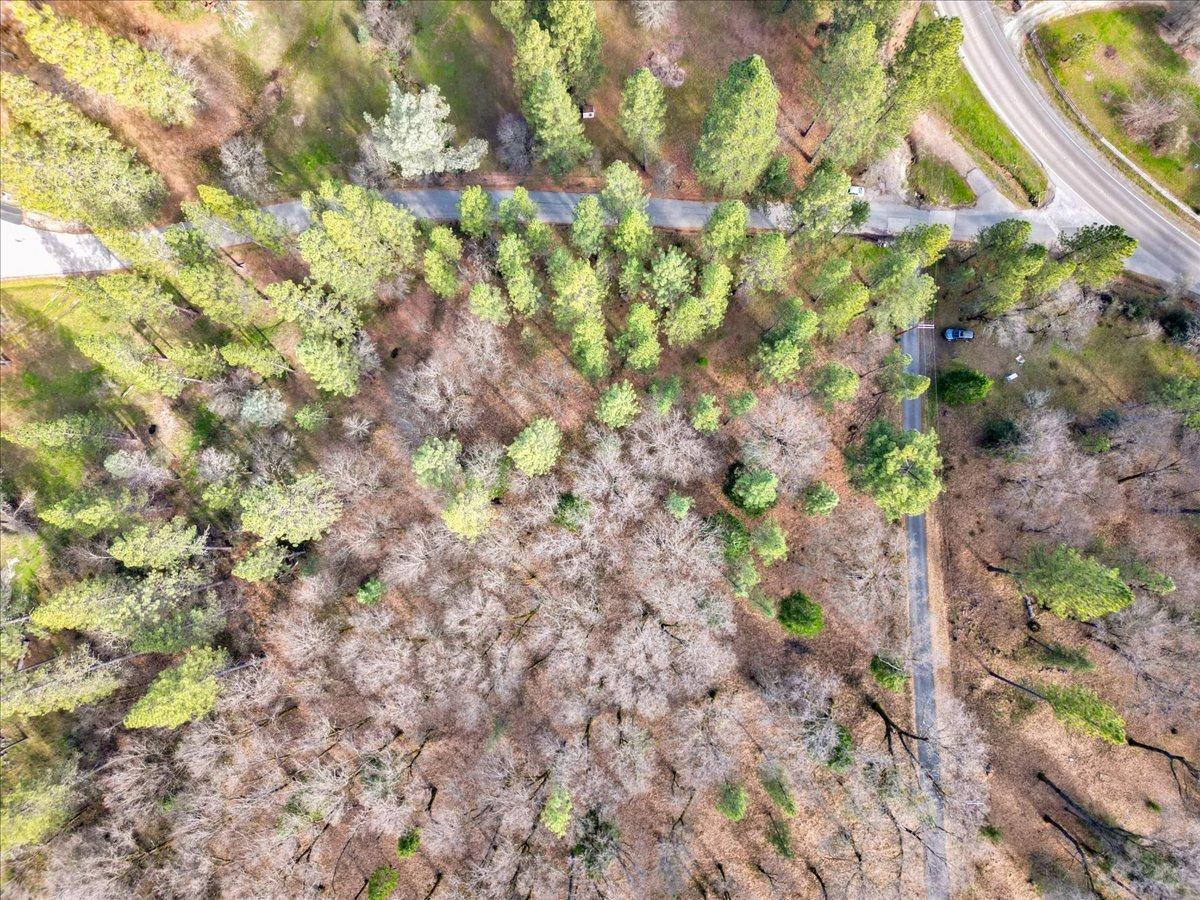 12787 Mystic Mine Road Nevada City, CA 95959 - Photo 80 of 80 a backyard of a house