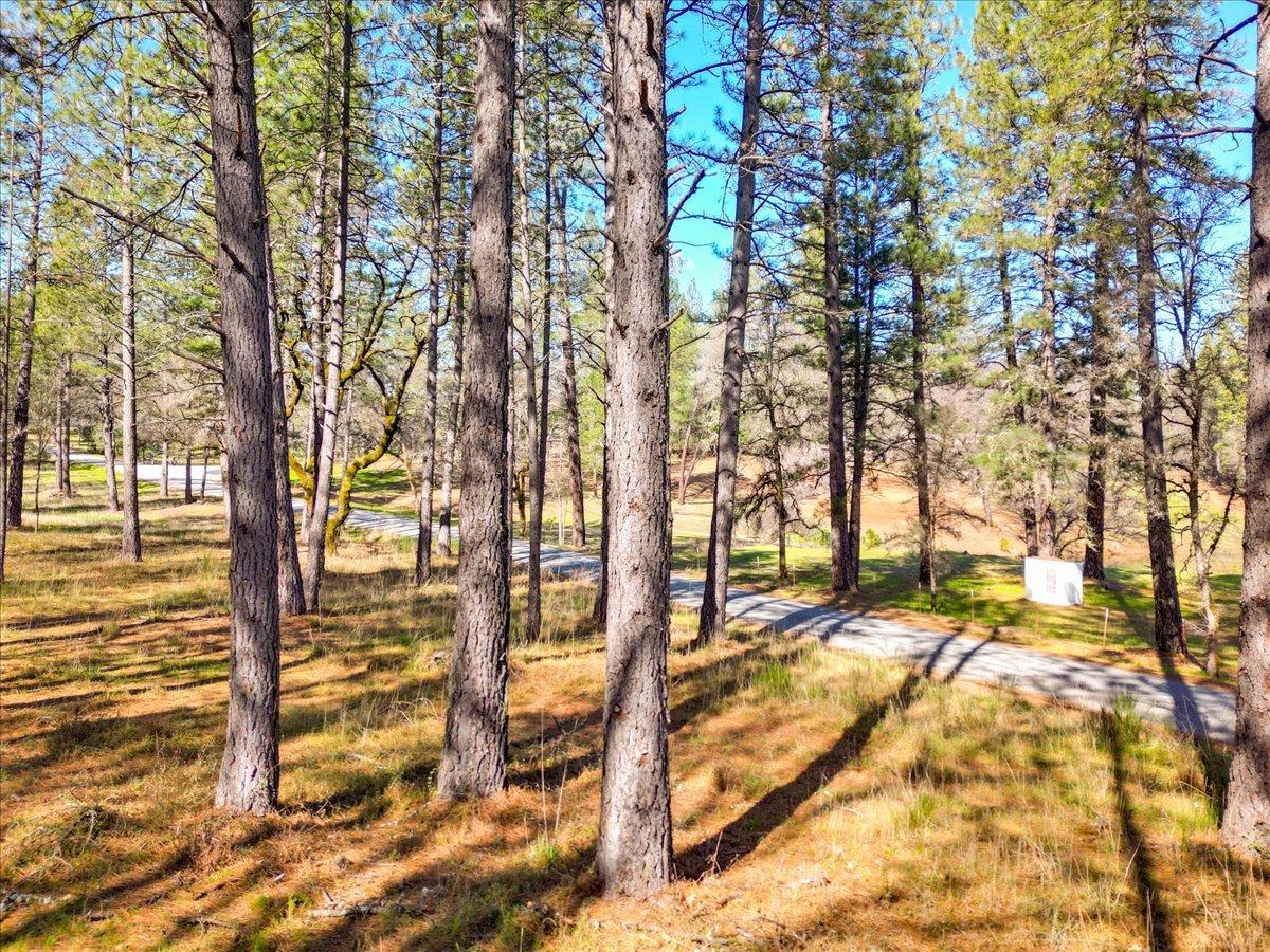 12787 Mystic Mine Road Nevada City, CA 95959 - Photo 10 of 80