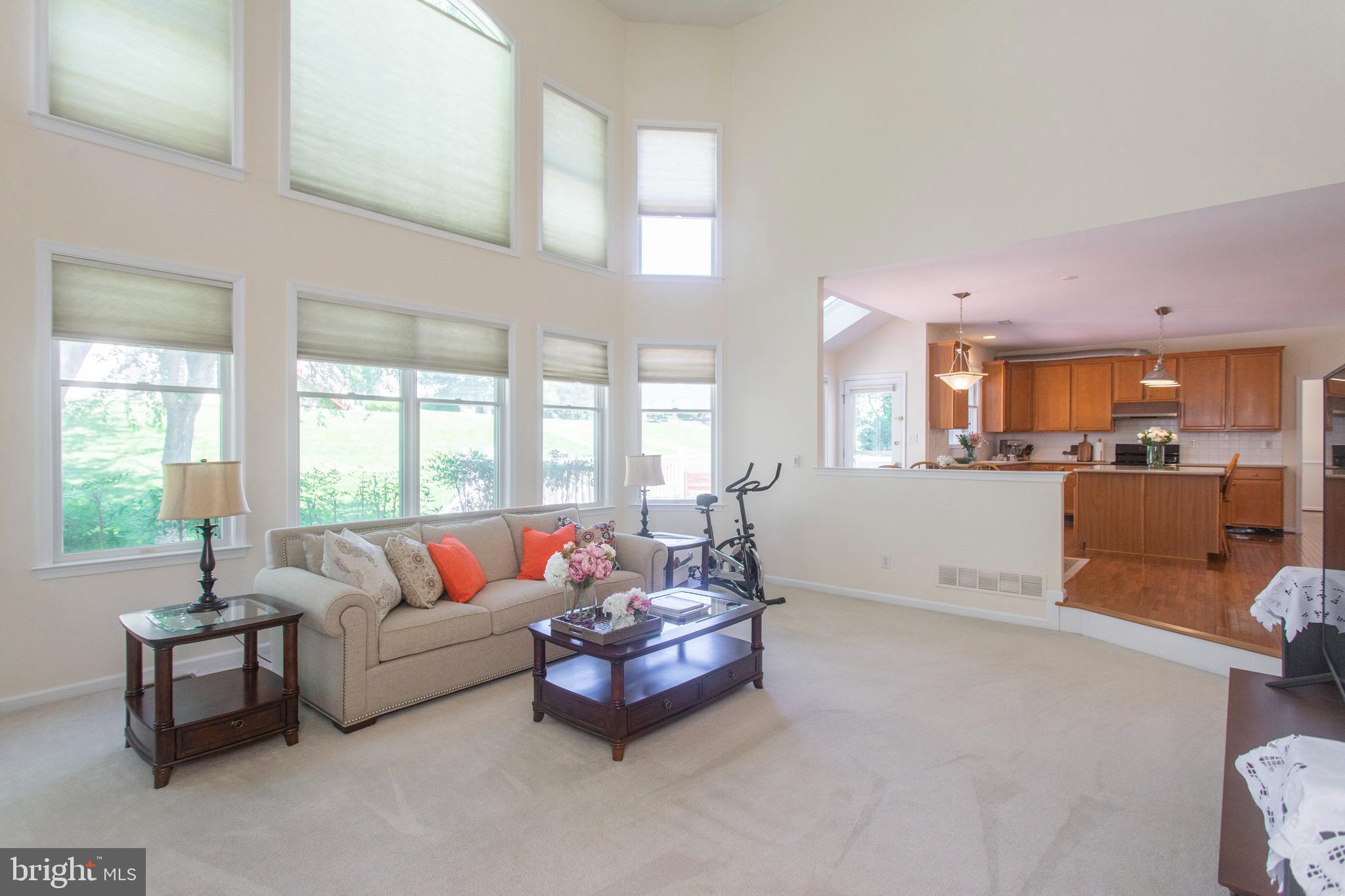 236 Hockessin Circle Hockessin, DE 19707 - Photo 9 of 50