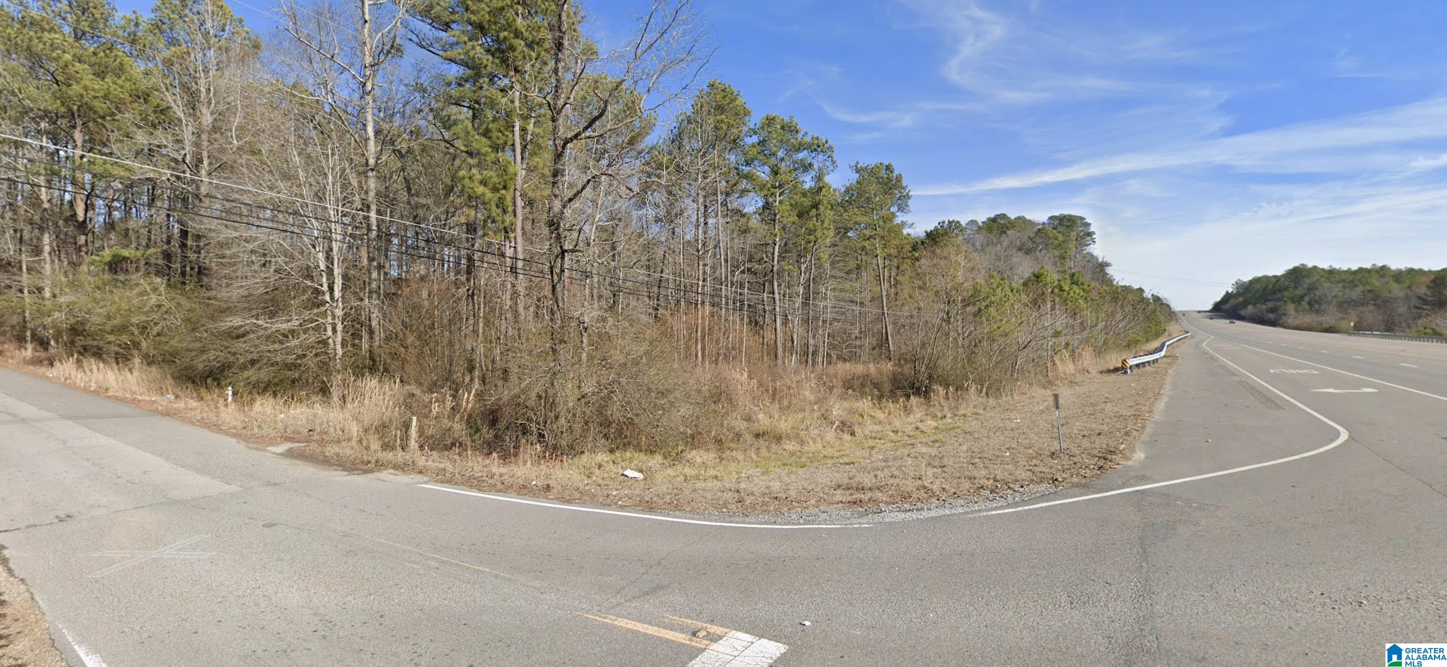 0 Highway 78 Jasper, AL 35503 - Photo 3 of 4